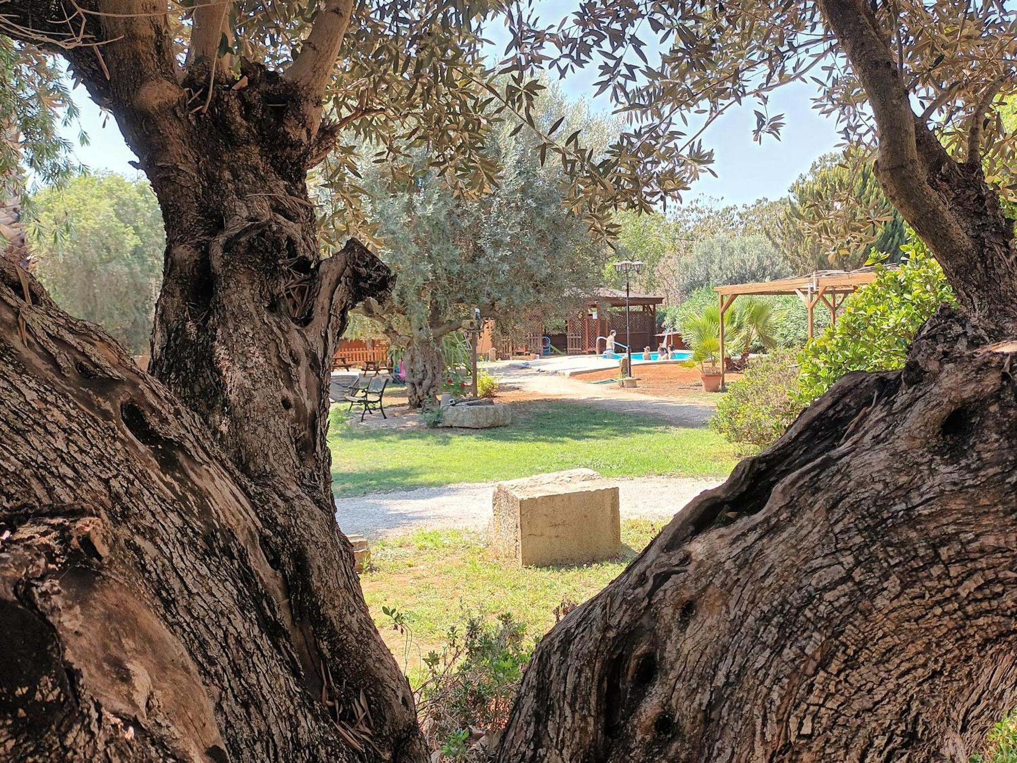 Вілла Entre Viejos Olivos Benicolet Екстер'єр фото