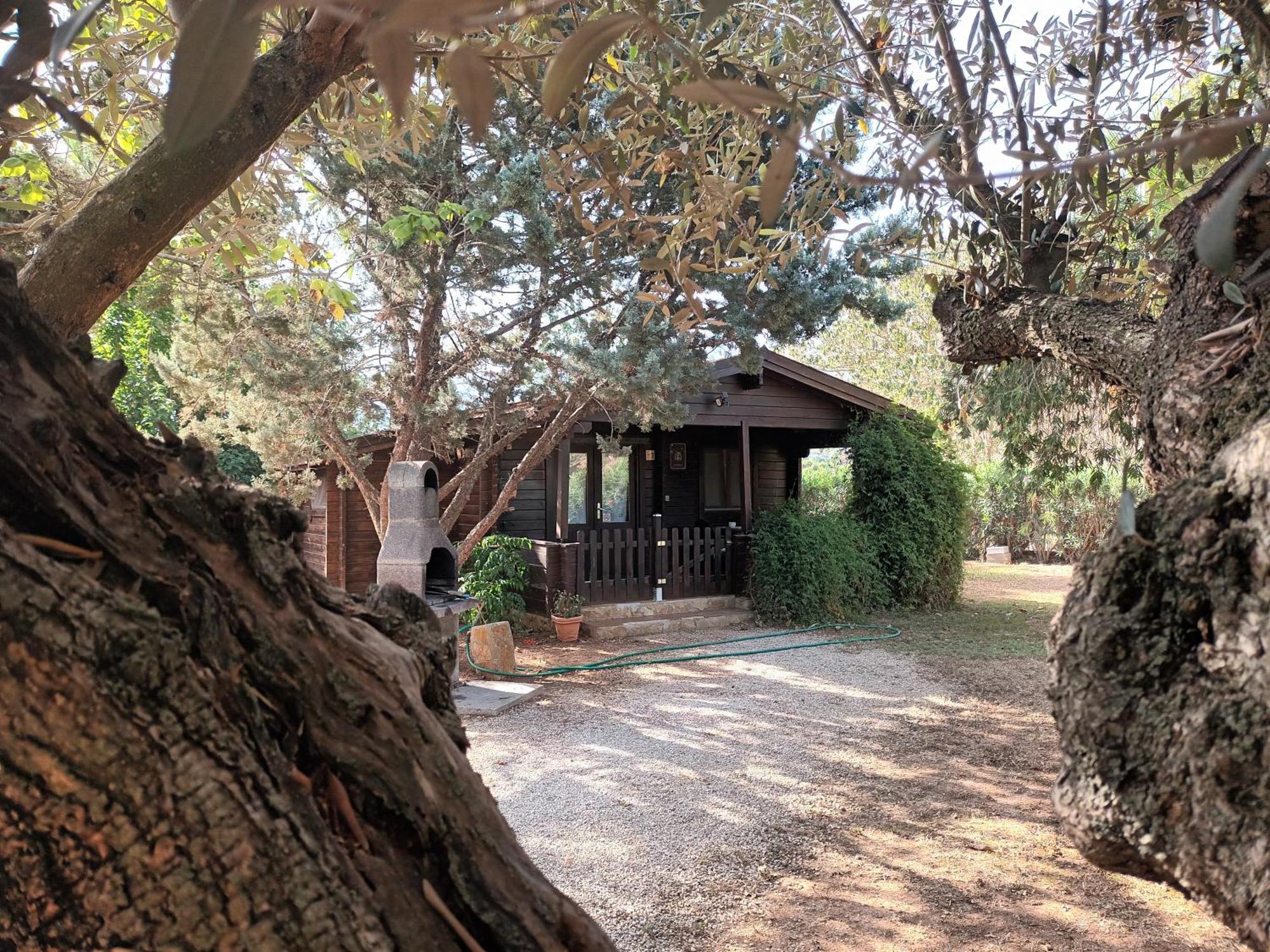 Вілла Entre Viejos Olivos Benicolet Екстер'єр фото